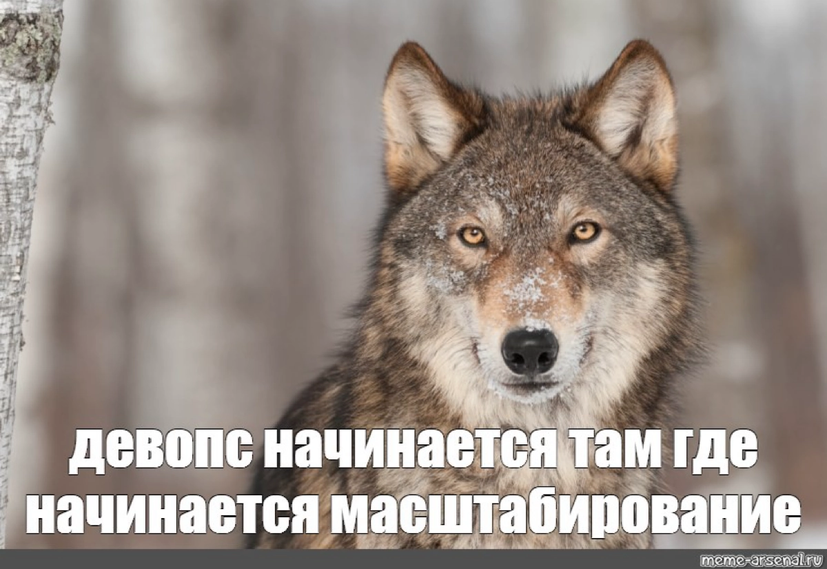 Senior 🍅 DevOps Engineer | Сетка — новая социальная сеть от hh.ru