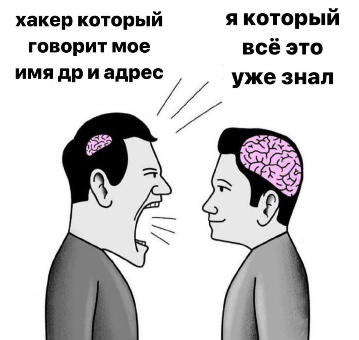 Сетка — новая социальная сеть от hh.ru