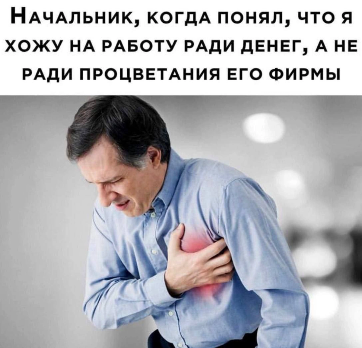 Welcome to reality | Сетка — новая социальная сеть от hh.ru
