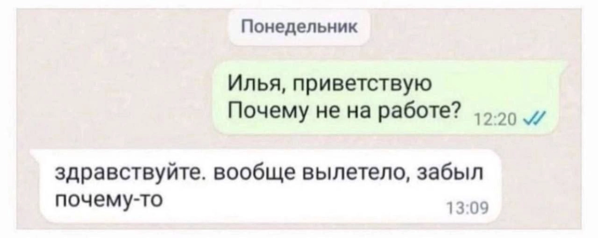 🫡 | Сетка — новая социальная сеть от hh.ru