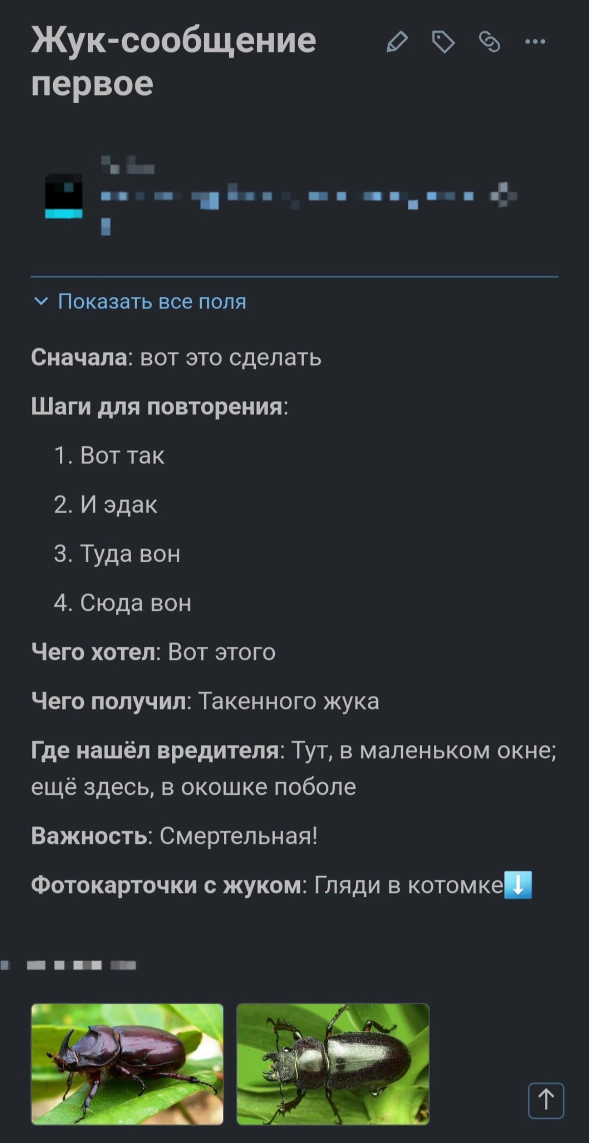 Жук-репорт🤪 | Сетка — новая социальная сеть от hh.ru