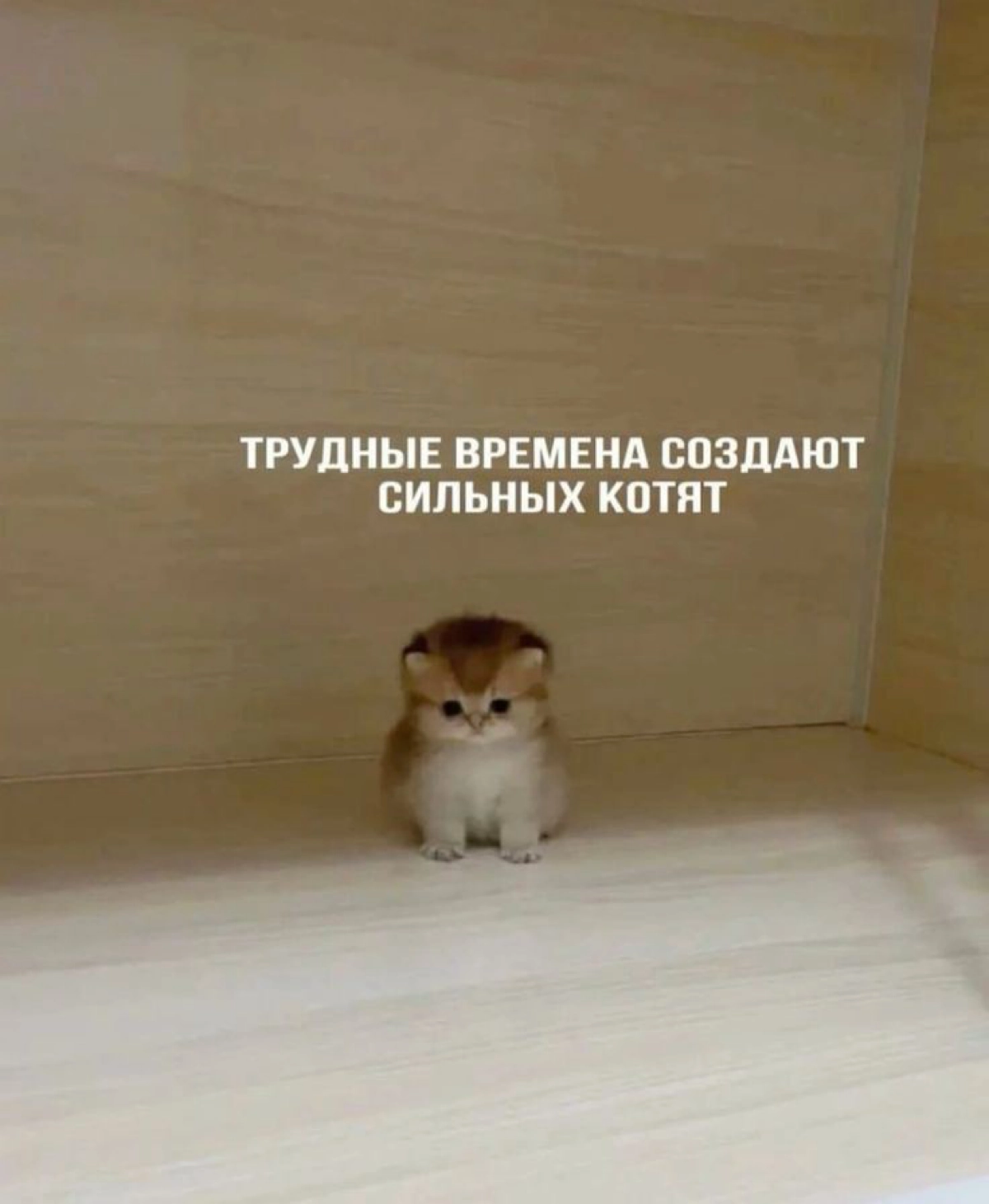Что сподвигло "двигаться"? | Сетка — новая социальная сеть от hh.ru