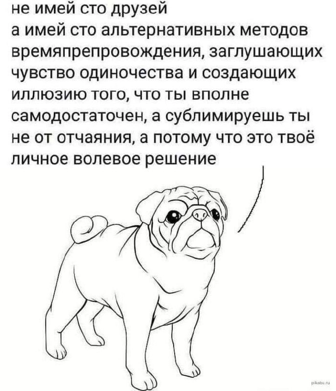  | Сетка — новая социальная сеть от hh.ru
