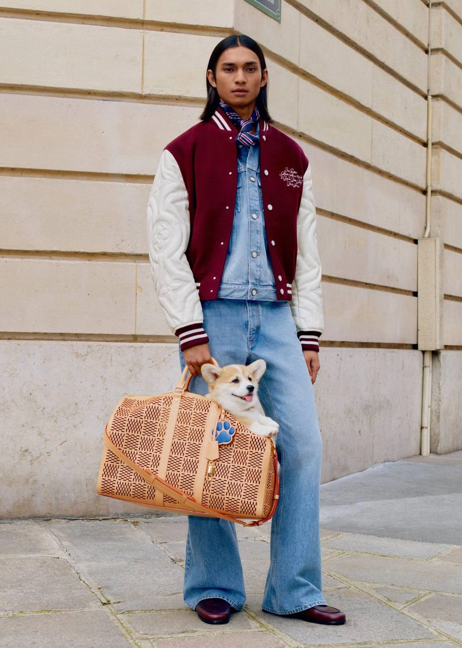 Собачники, держитесь: Louis Vuitton подготовили целую линейку товаров для любимых питомцев | Сетка — новая социальная сеть от hh.ru