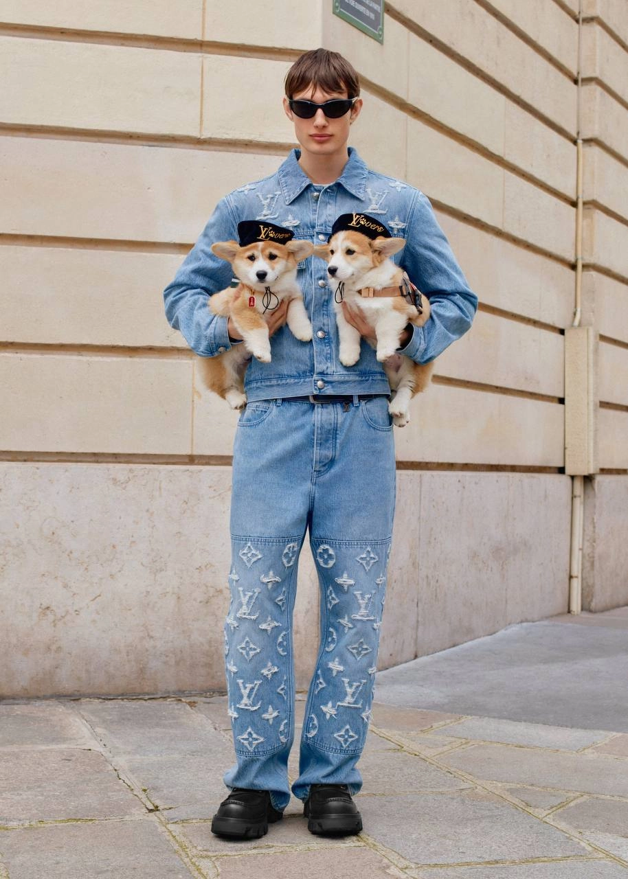 Собачники, держитесь: Louis Vuitton подготовили целую линейку товаров для любимых питомцев | Сетка — новая социальная сеть от hh.ru