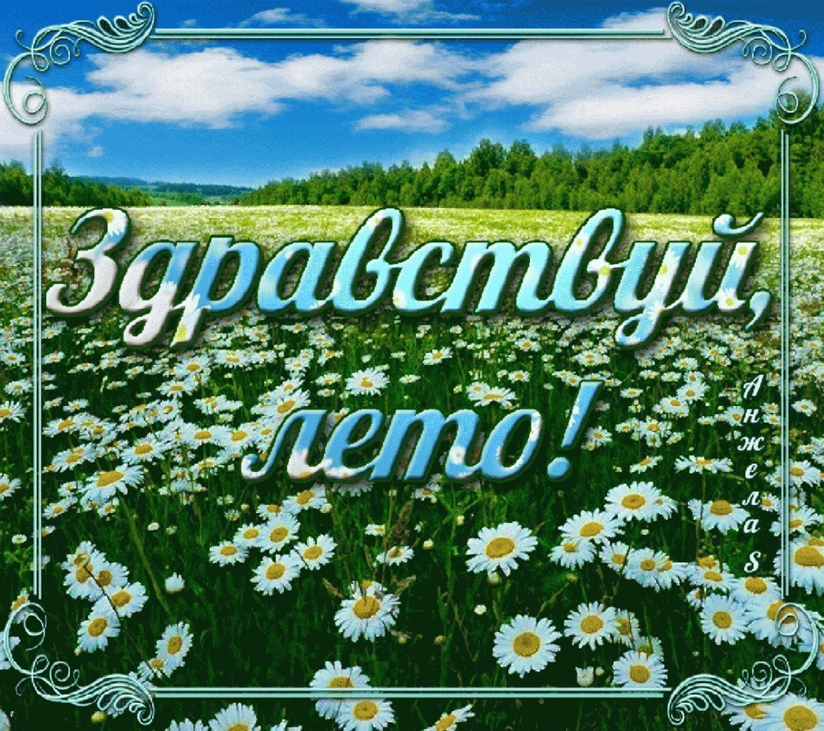 Коллеги, всех с первым днем лета! Не забываем отдыхать | Сетка — новая социальная сеть от hh.ru