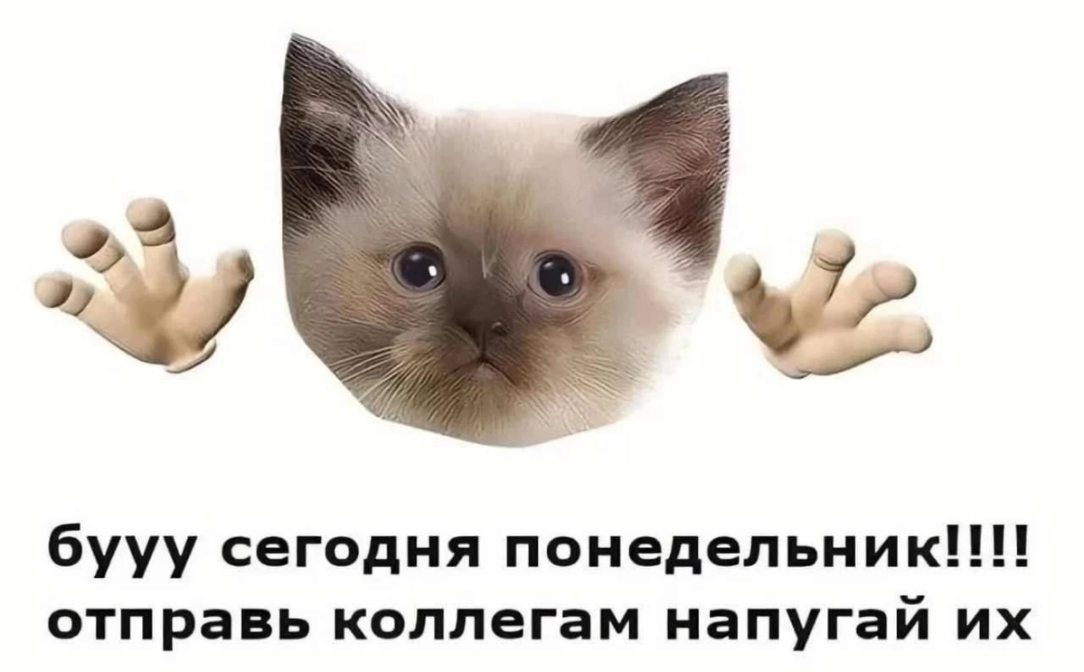 Мем #15 | Сетка — новая социальная сеть от hh.ru