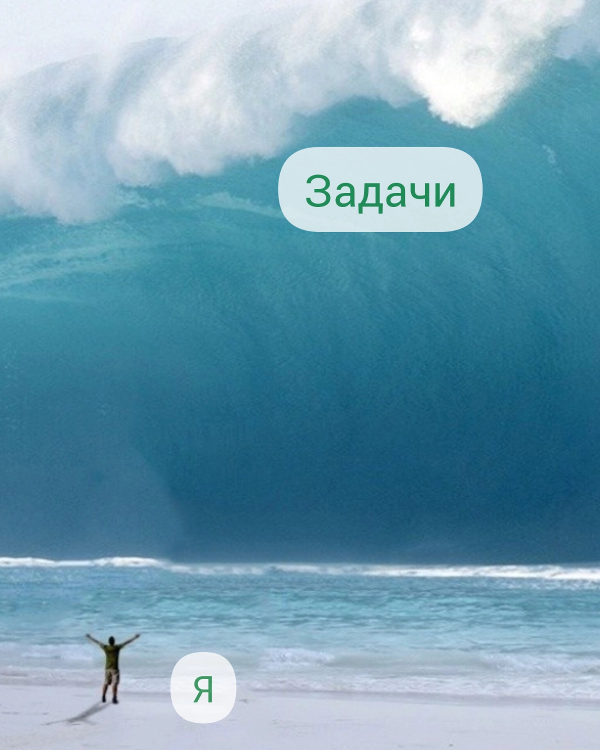 Надо было постить это вчера... | Сетка — новая социальная сеть от hh.ru