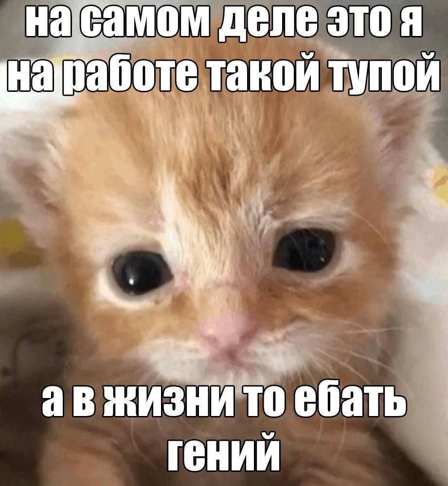  | Сетка — новая социальная сеть от hh.ru