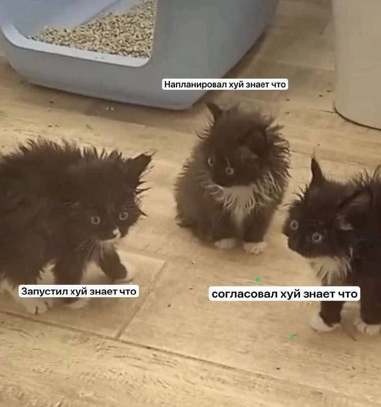  | Сетка — новая социальная сеть от hh.ru