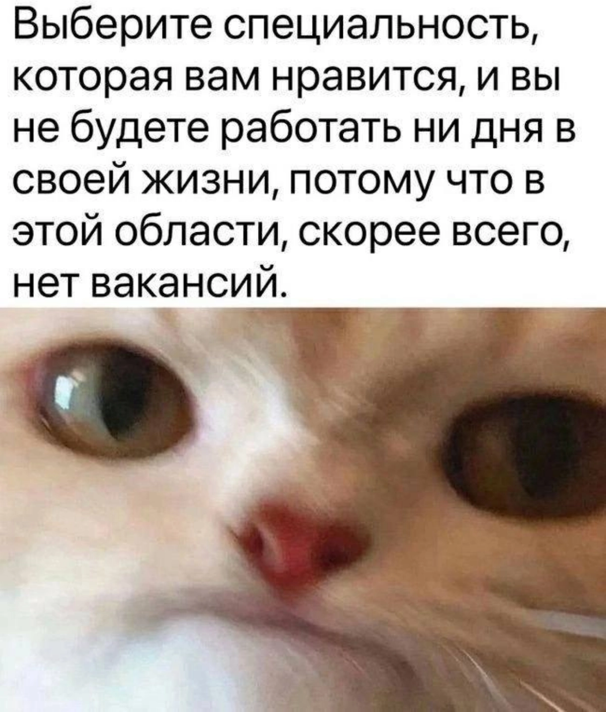 Мем #16 | Сетка — новая социальная сеть от hh.ru