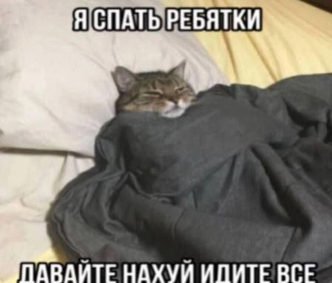  | Сетка — новая социальная сеть от hh.ru