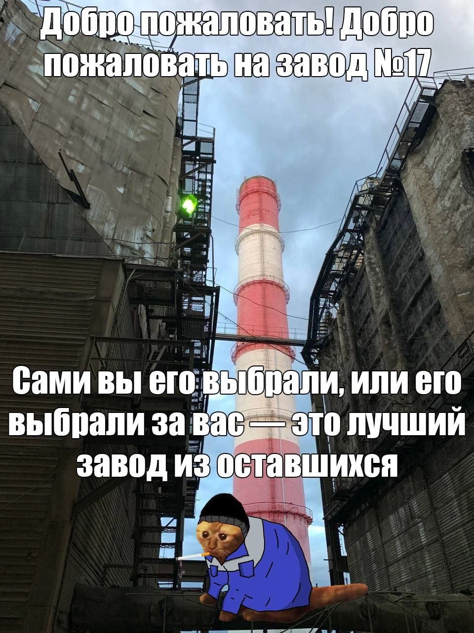  | Сетка — новая социальная сеть от hh.ru