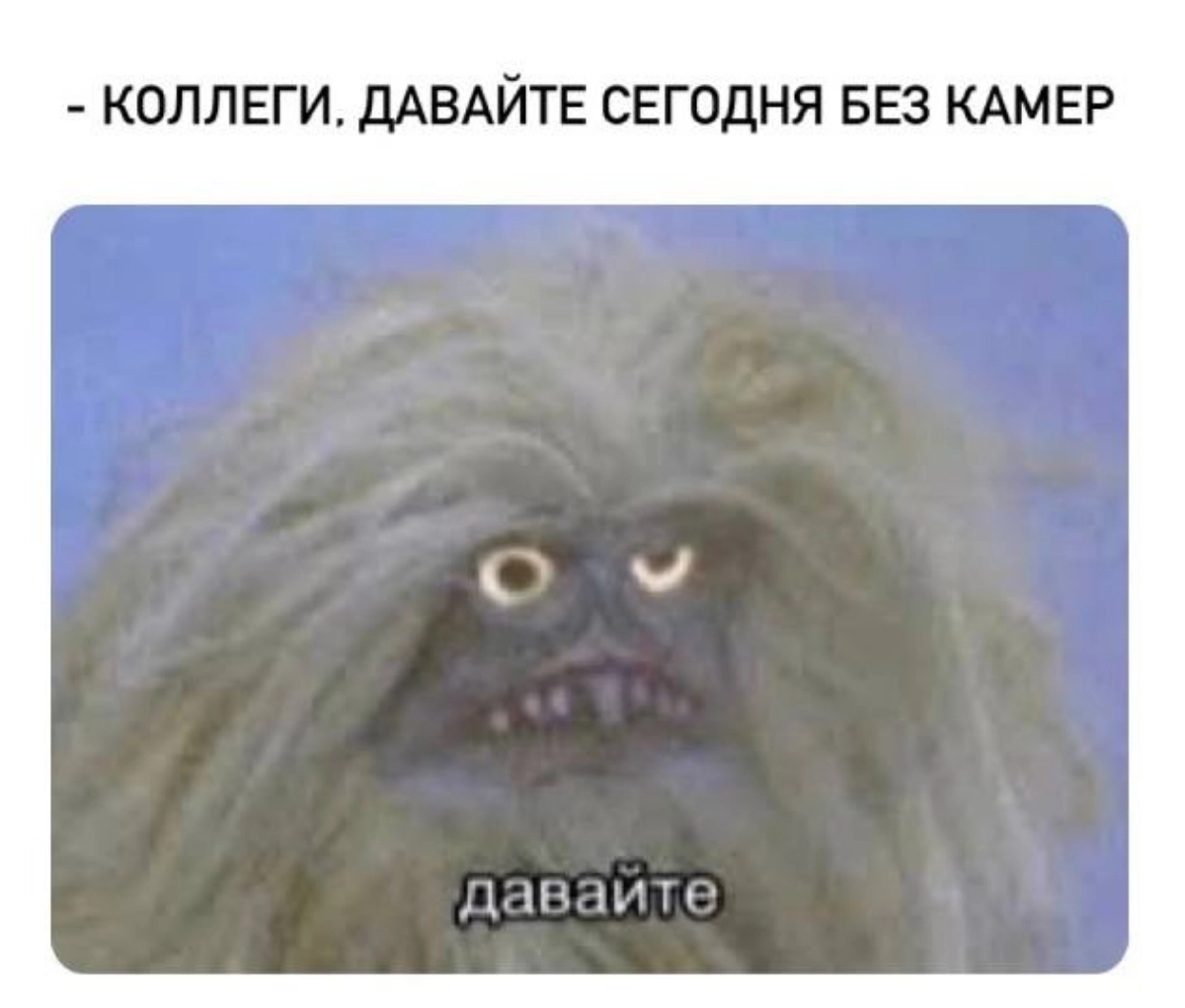 Мудрое решение.
П.С. А вы в какой команде? Если созвон, то с 📷 или комфортнее без? | Сетка — новая социальная сеть от hh.ru