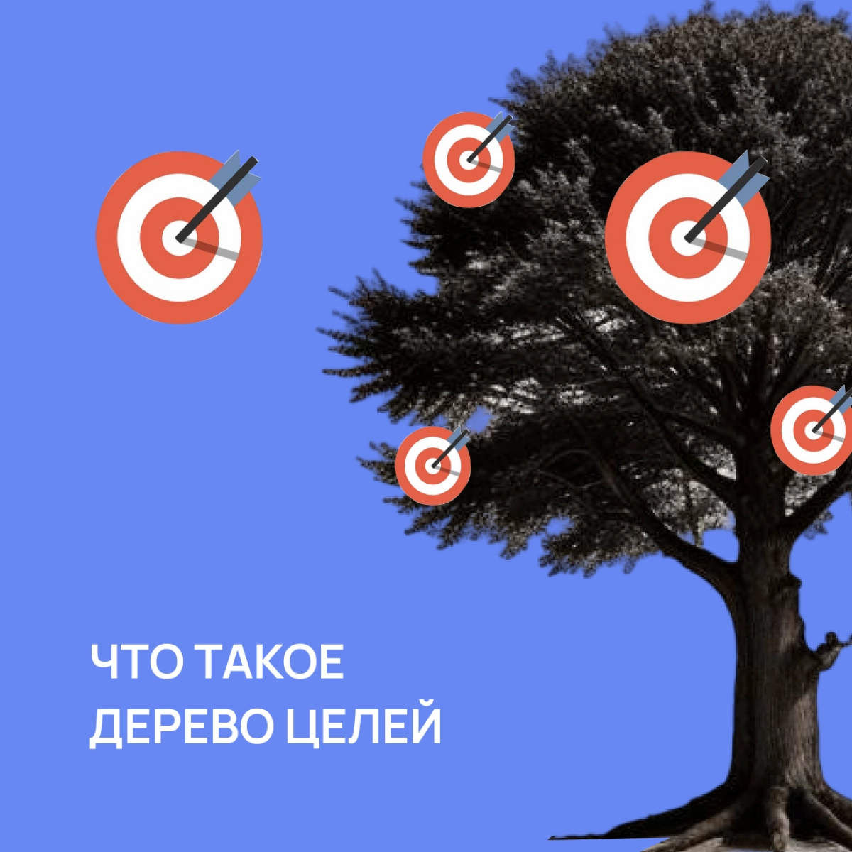 Жил бы желудь. Он был полон амбиций вырасти в большой дуб. И начал расти. Сначала стал маленьким дубочком. Потом укрепил корни и потянулся к небу | Сетка — новая социальная сеть от hh.ru