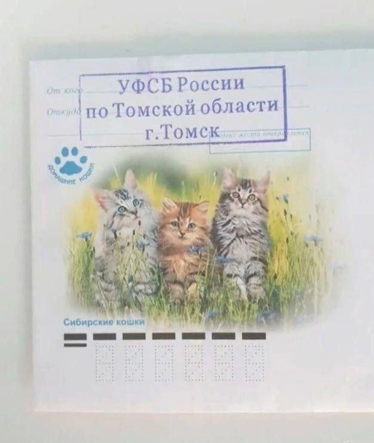 Побывал тут на beerphp вчера. Ну что могу сказать, прикольно. Пива я не пил конечно, потому что пьют пиво и пишут на пхп только скуфы | Сетка — новая социальная сеть от hh.ru