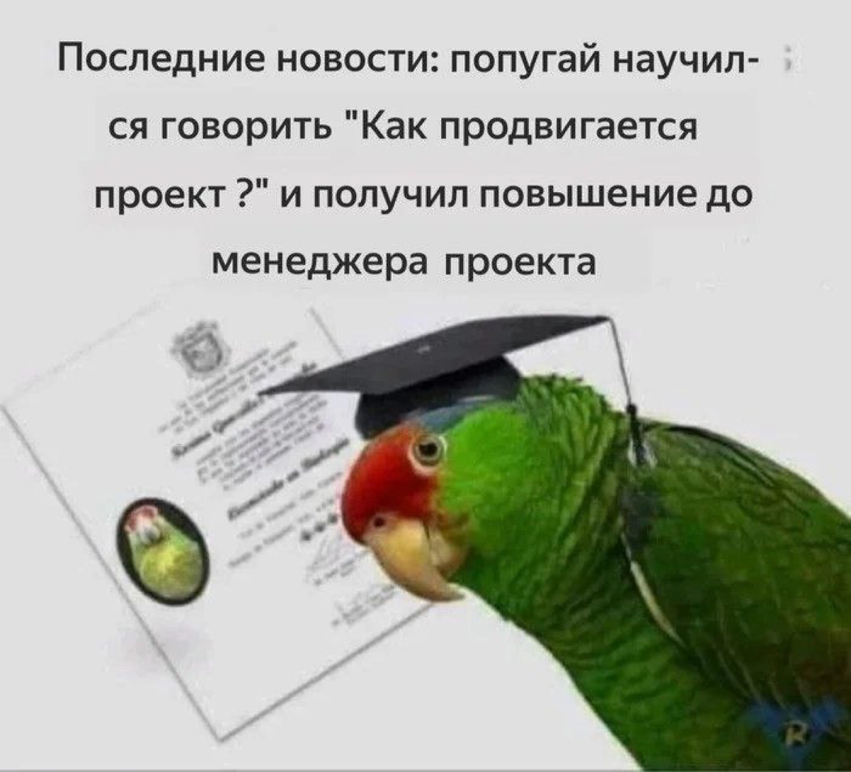 #пятничное | Сетка — новая социальная сеть от hh.ru