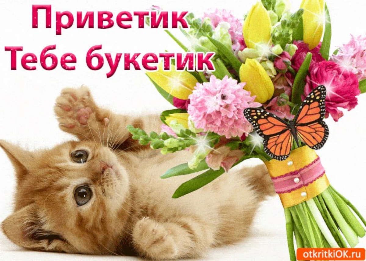 привет новые подписчики, коллеги, друзья и будущие собутыльники ☺️  
пока нас здесь мало, хочу со всеми познакомиться 😊
напиши в комментах кто ты, откуда ты, где работаешь или ищешь работу, всё что ду... | Сетка — новая социальная сеть от hh.ru