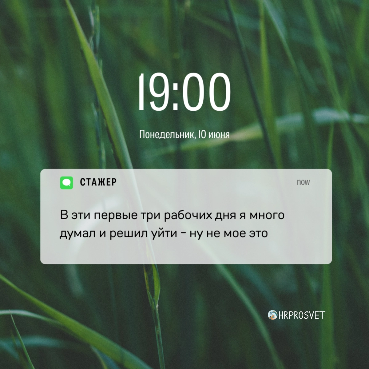 Как сказать, что ты эйчар, не говоря, что ты эйчар? Просто показать уведомления на телефоне😅 
Видео с этими уведомлениями ищите в нашем телеграме https://t.me/hrprosvet | Сетка — новая социальная сеть от hh.ru