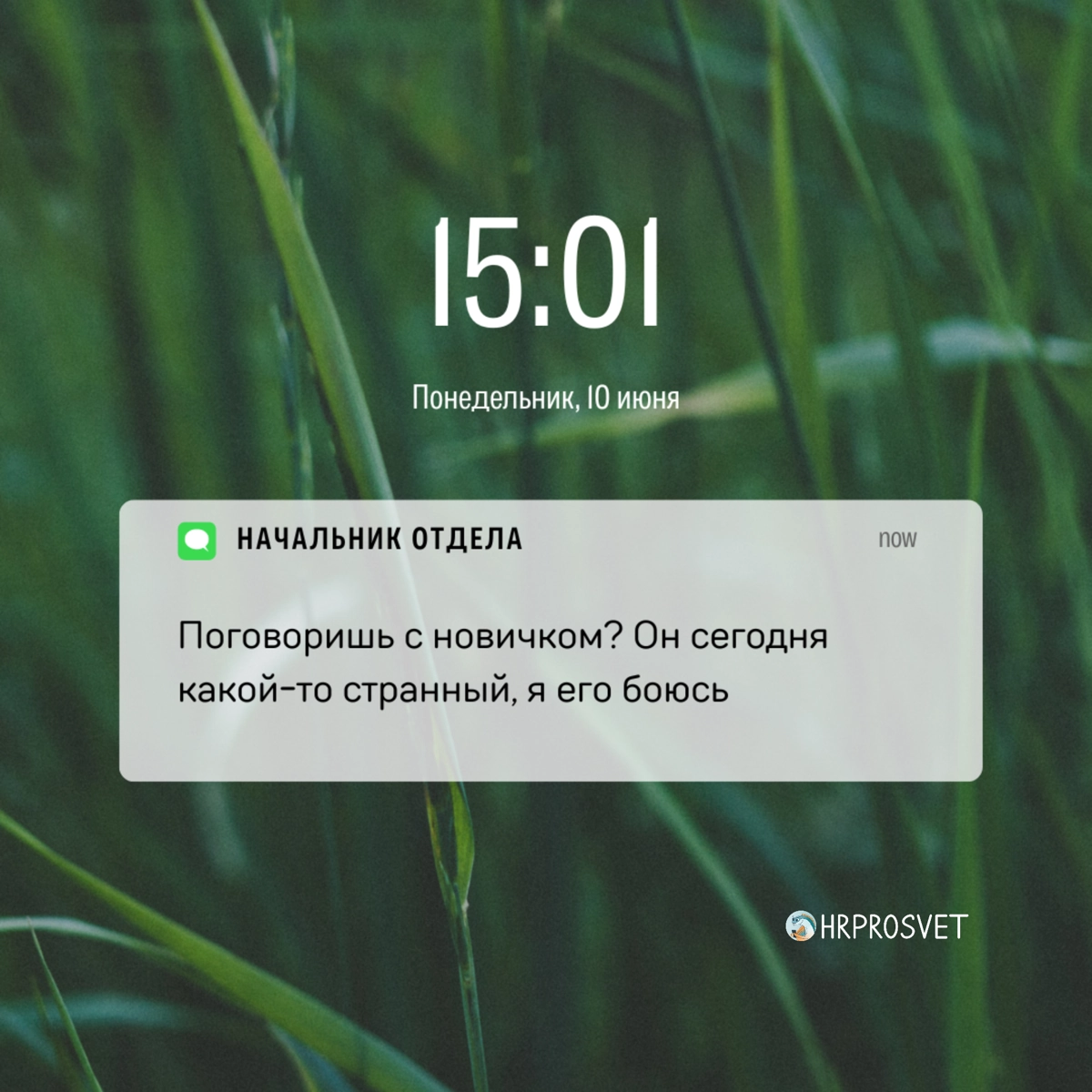 Как сказать, что ты эйчар, не говоря, что ты эйчар? Просто показать уведомления на телефоне😅 
Видео с этими уведомлениями ищите в нашем телеграме https://t.me/hrprosvet | Сетка — новая социальная сеть от hh.ru