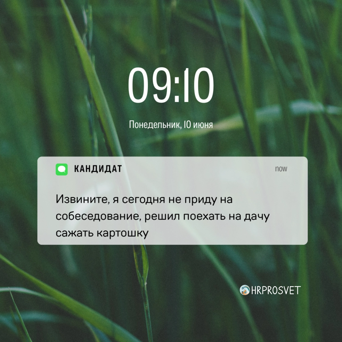 Как сказать, что ты эйчар, не говоря, что ты эйчар? Просто показать уведомления на телефоне😅 
Видео с этими уведомлениями ищите в нашем телеграме https://t.me/hrprosvet | Сетка — новая социальная сеть от hh.ru