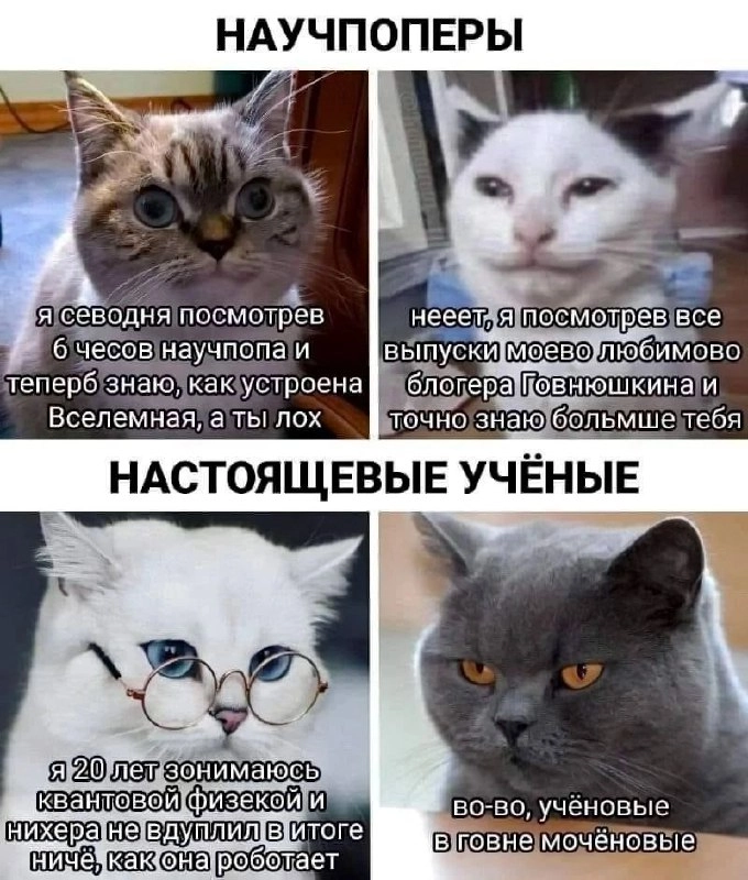 | Сетка — новая социальная сеть от hh.ru
