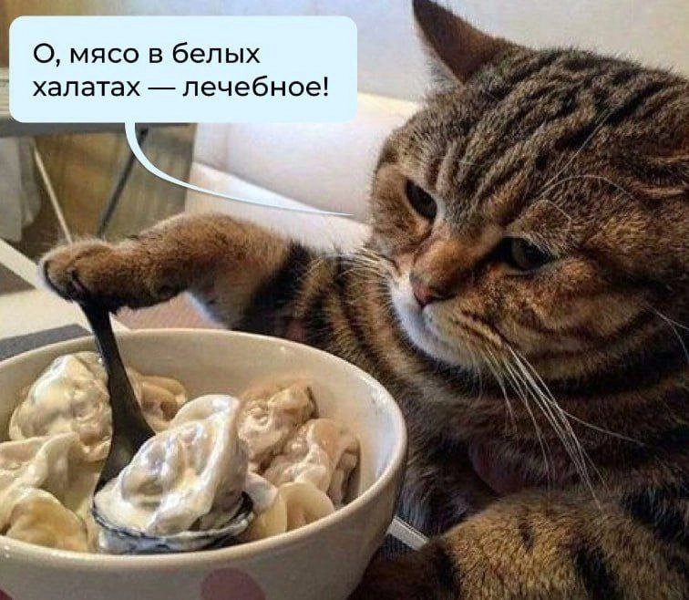  | Сетка — новая социальная сеть от hh.ru