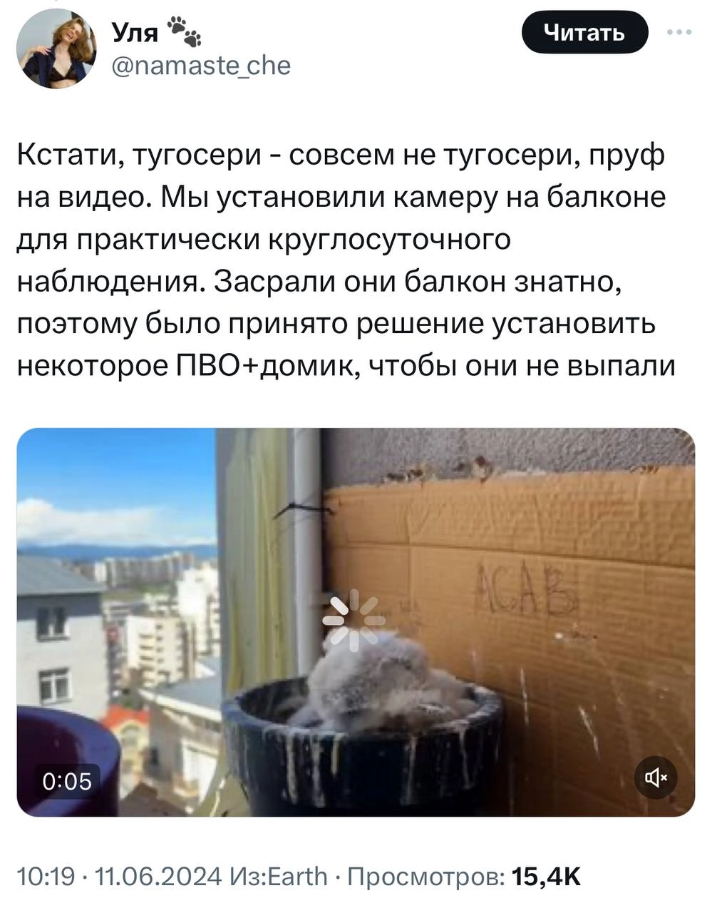 У девушки на балконе выросли соколята. Она написала тред о том, с чего это все начиналось и чем закончилось.
Молодая пара 1.5 месяца отслеживала, как развиваются птенцы | Сетка — новая социальная сеть от hh.ru