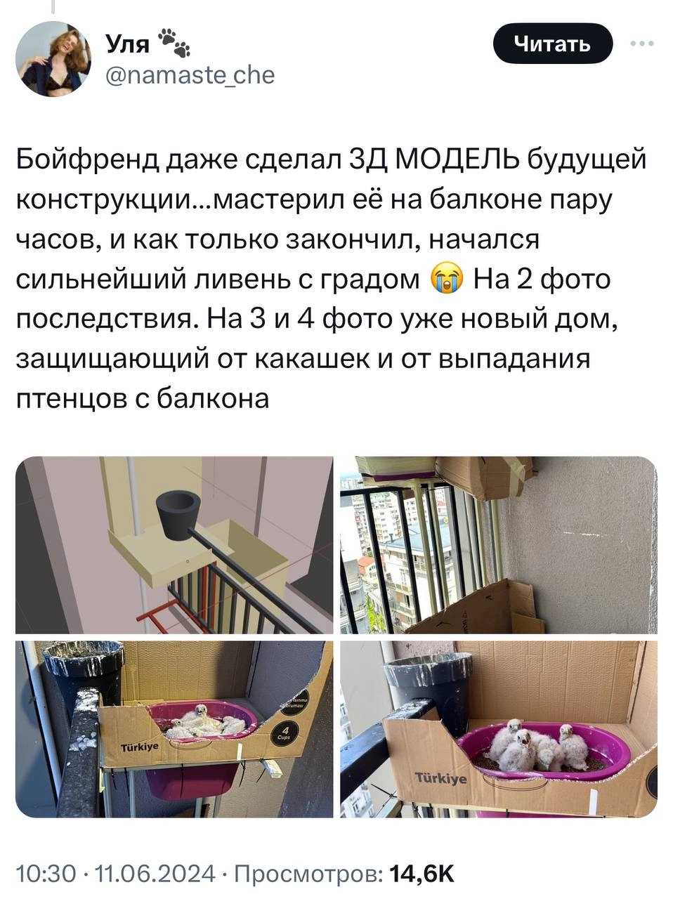 У девушки на балконе выросли соколята. Она написала тред о том, с чего это все начиналось и чем закончилось.
Молодая пара 1.5 месяца отслеживала, как развиваются птенцы | Сетка — новая социальная сеть от hh.ru