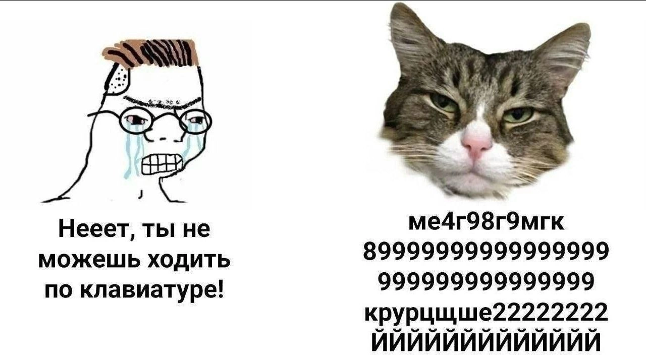  | Сетка — новая социальная сеть от hh.ru