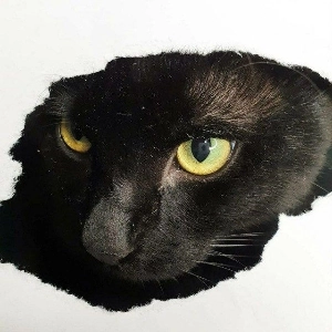 channel avatar