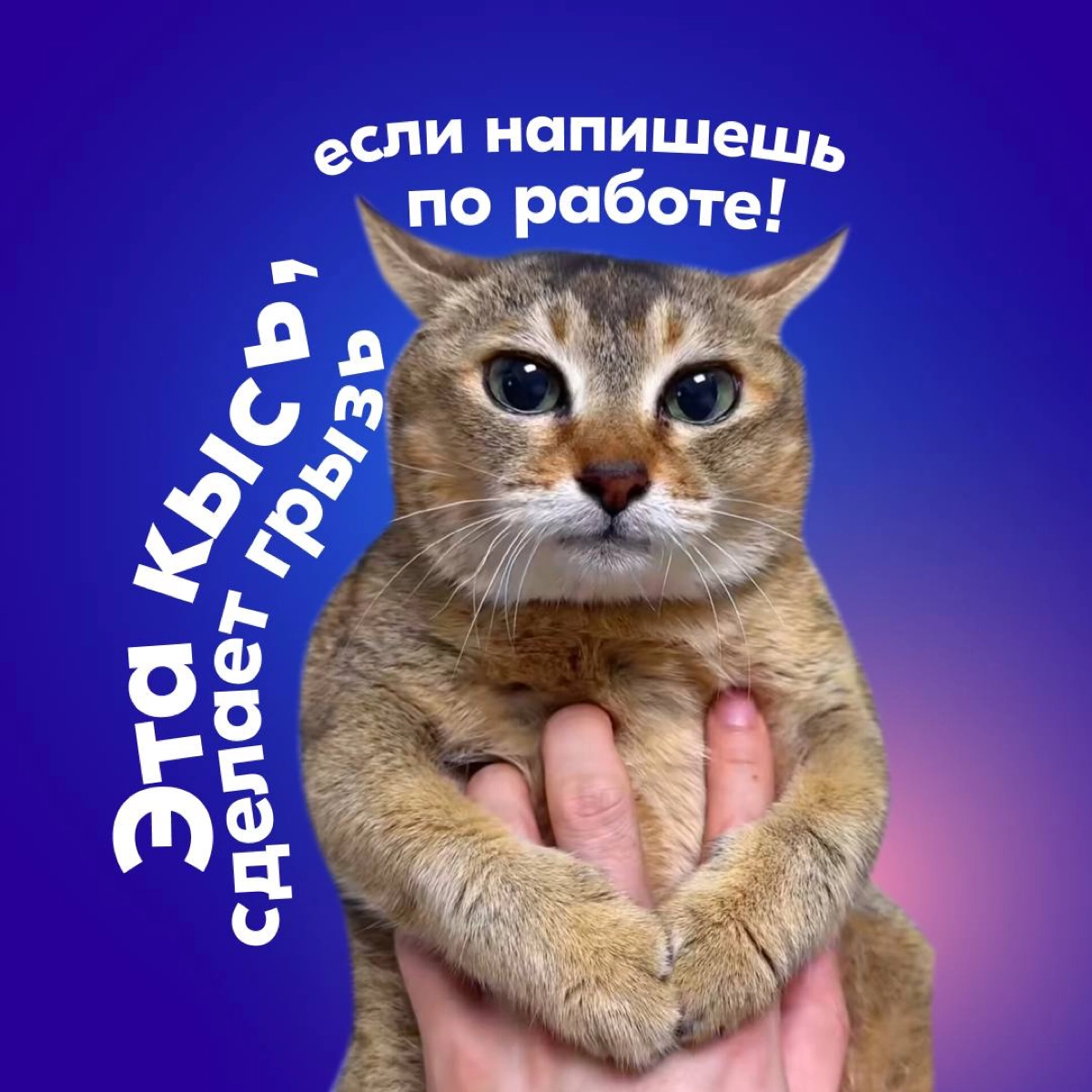 Наступила пора отпусков и если вы искали симпатичные аватарки для мессенджеров, которые расскажут всем, что вы в отпуске — такие для вас подготовила команда Ozon | Сетка — новая социальная сеть от hh.ru