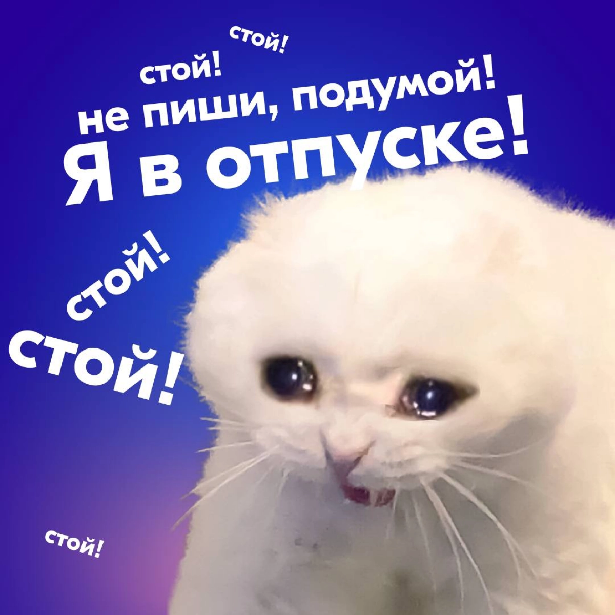 Наступила пора отпусков и если вы искали симпатичные аватарки для мессенджеров, которые расскажут всем, что вы в отпуске — такие для вас подготовила команда Ozon | Сетка — новая социальная сеть от hh.ru