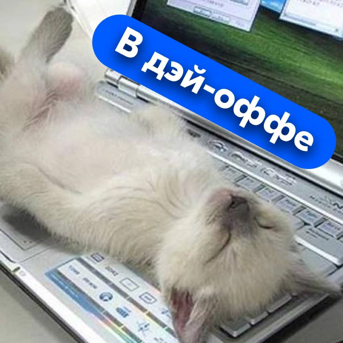 Наступила пора отпусков и если вы искали симпатичные аватарки для мессенджеров, которые расскажут всем, что вы в отпуске — такие для вас подготовила команда Ozon | Сетка — новая социальная сеть от hh.ru