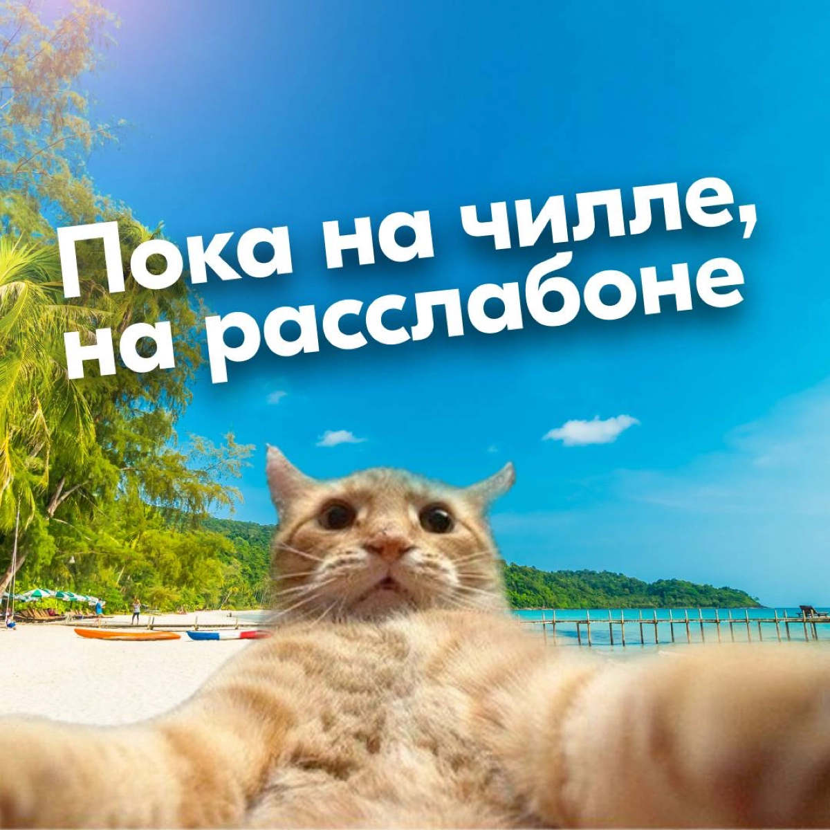 Наступила пора отпусков и если вы искали симпатичные аватарки для мессенджеров, которые расскажут всем, что вы в отпуске — такие для вас подготовила команда Ozon | Сетка — новая социальная сеть от hh.ru