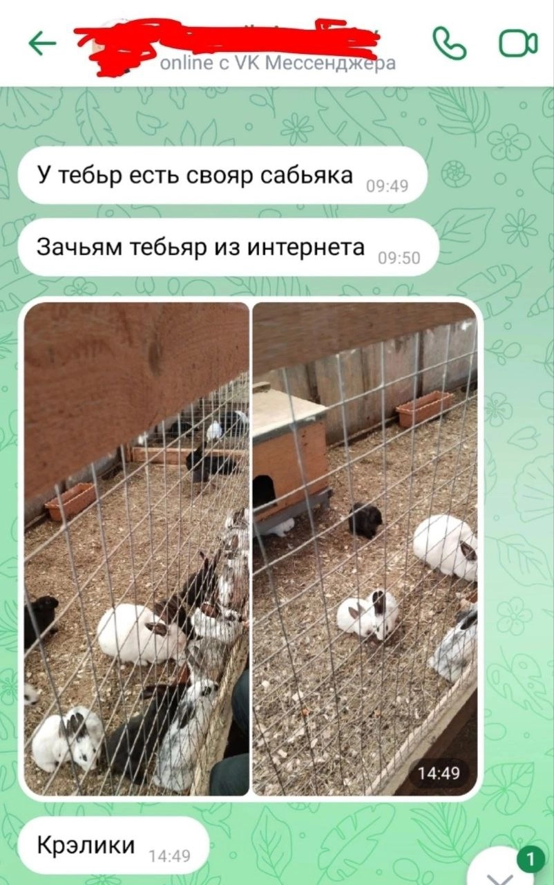  | Сетка — новая социальная сеть от hh.ru
