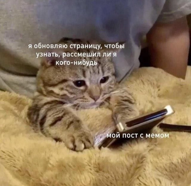  | Сетка — новая социальная сеть от hh.ru
