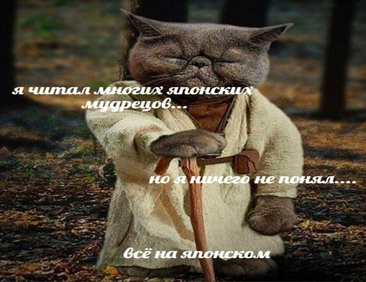  | Сетка — новая социальная сеть от hh.ru