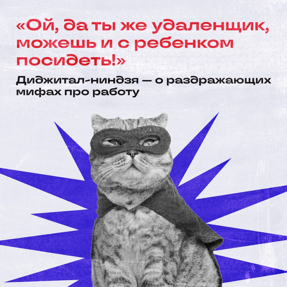 Собрались как-то в наших комментариях удаленщик, тимлид и фрилансер — и как начали обсуждать мифы о работе. А мы собрали из них самые жизовые. 
А вы бы какие мифы еще добавили? | Сетка — новая социальная сеть от hh.ru