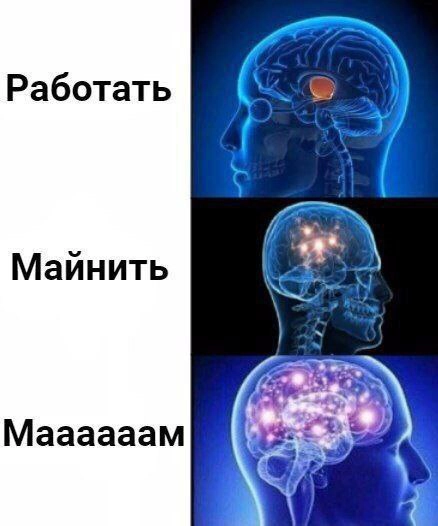 ТАПАТЬ ХОМЯКА | Сетка — новая социальная сеть от hh.ru