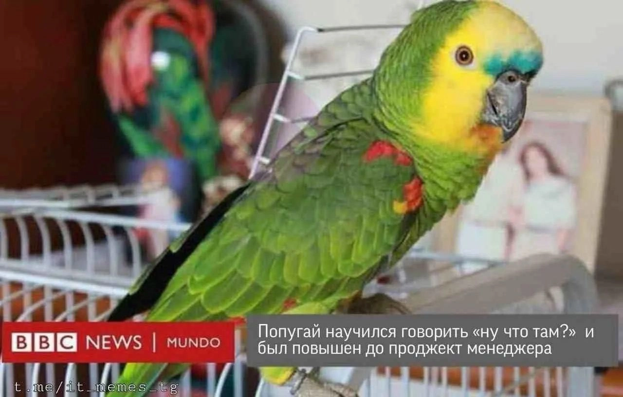 Как я пришел к проджект менеджменту 
@umedschannel
#мемы | Сетка — новая социальная сеть от hh.ru