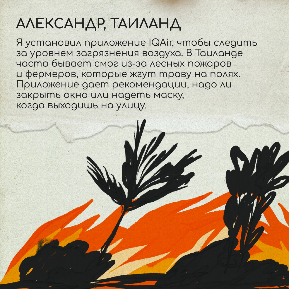 После переезда в телефоне появляются приложения, без которых в новой стране было бы непросто. А какие установили вы? Делитесь в комментариях — кому-то из читателей точно пригодятся! | Сетка — новая социальная сеть от hh.ru