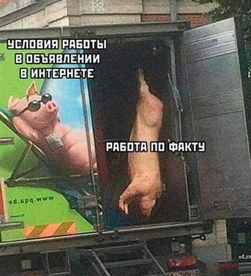  | Сетка — новая социальная сеть от hh.ru