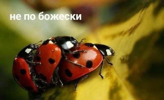  | Сетка — новая социальная сеть от hh.ru