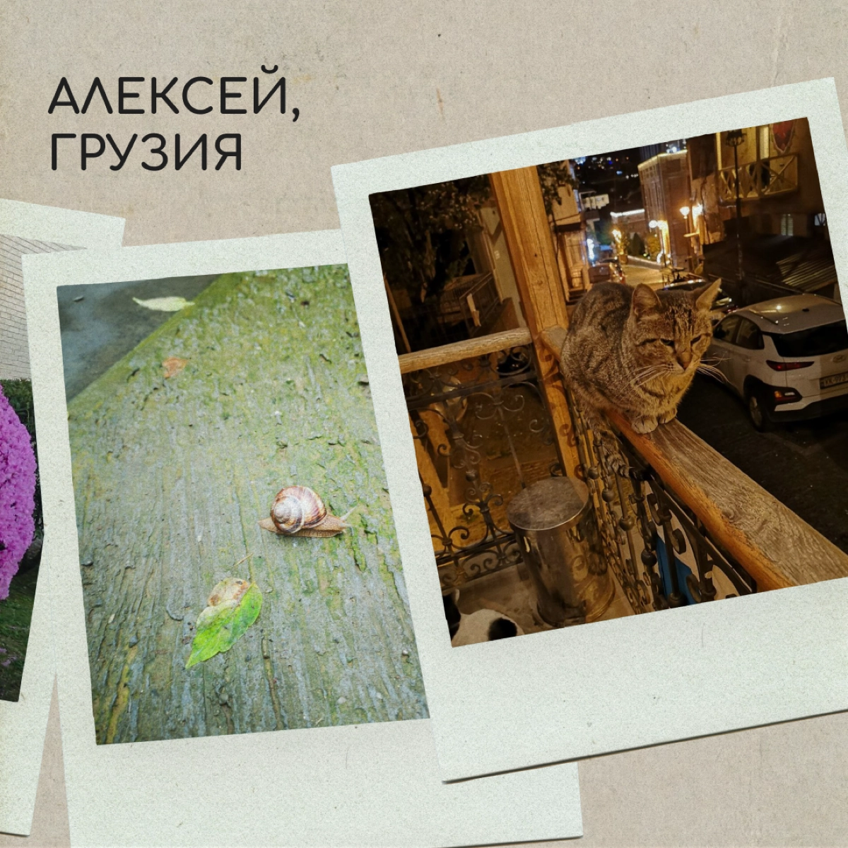 Вы тоже по-доброму посмеивались над мамой, которая фотографировалась на фоне клумбы? А теперь сами снимаете цветочки и голубое небо — ну, потому что невозможно как красиво! 
Делитесь фотографиями свое... | Сетка — новая социальная сеть от hh.ru