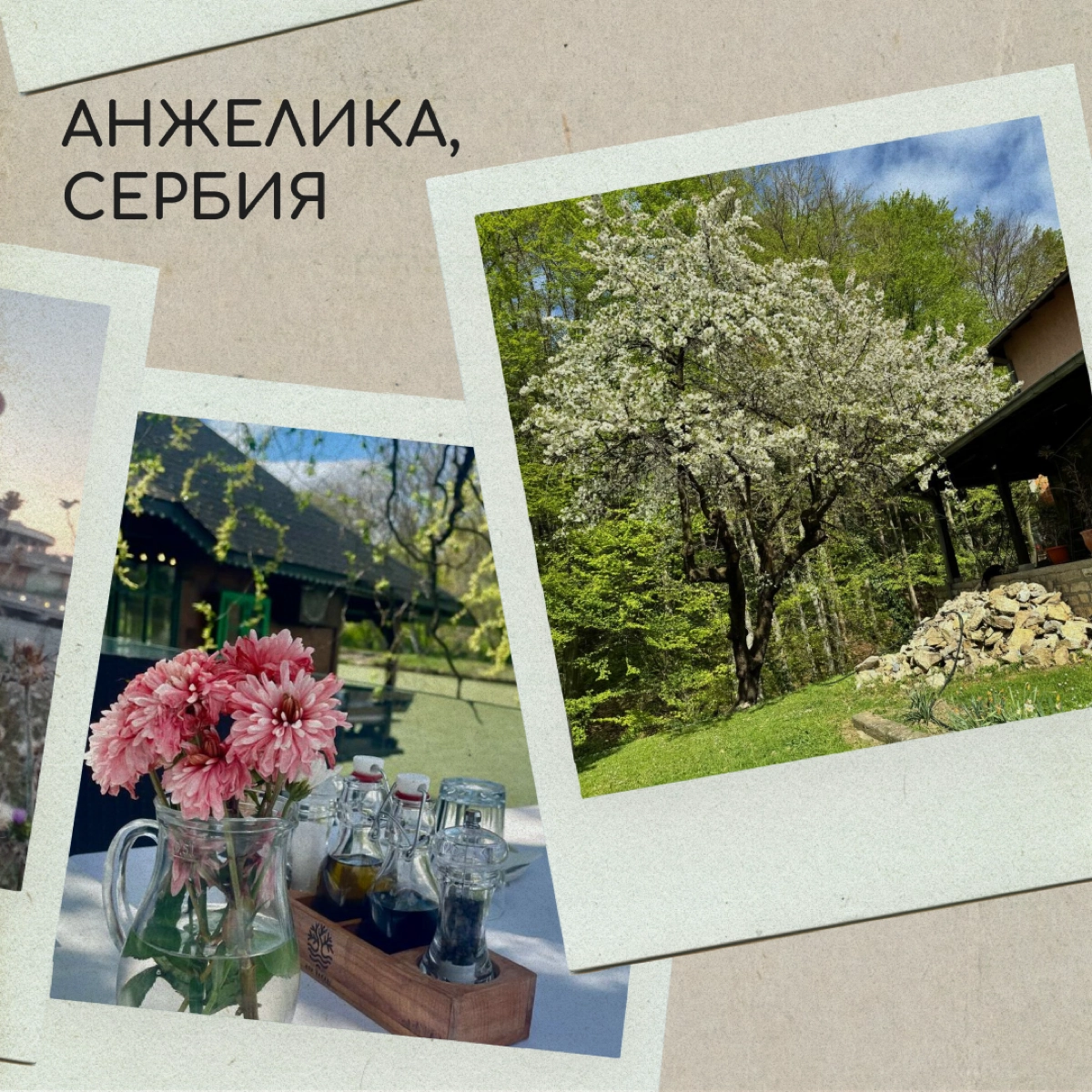 Вы тоже по-доброму посмеивались над мамой, которая фотографировалась на фоне клумбы? А теперь сами снимаете цветочки и голубое небо — ну, потому что невозможно как красиво! 
Делитесь фотографиями свое... | Сетка — новая социальная сеть от hh.ru