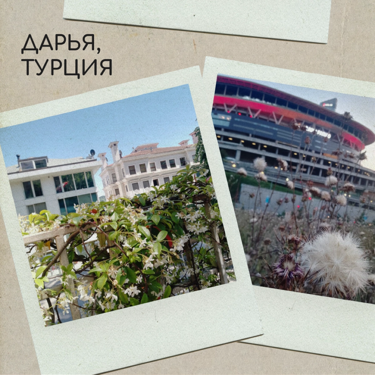 Вы тоже по-доброму посмеивались над мамой, которая фотографировалась на фоне клумбы? А теперь сами снимаете цветочки и голубое небо — ну, потому что невозможно как красиво! 
Делитесь фотографиями свое... | Сетка — новая социальная сеть от hh.ru