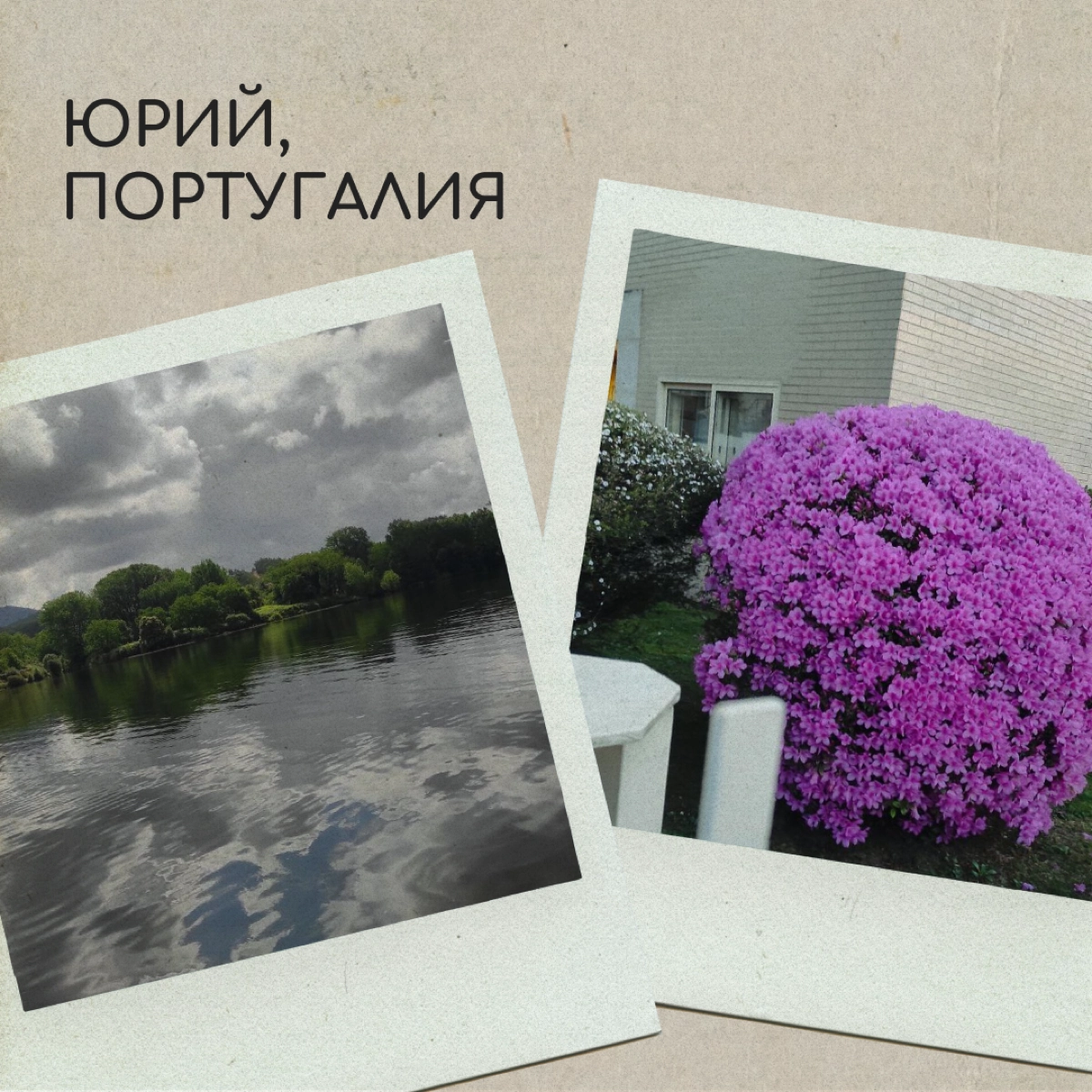 Вы тоже по-доброму посмеивались над мамой, которая фотографировалась на фоне клумбы? А теперь сами снимаете цветочки и голубое небо — ну, потому что невозможно как красиво! 
Делитесь фотографиями свое... | Сетка — новая социальная сеть от hh.ru