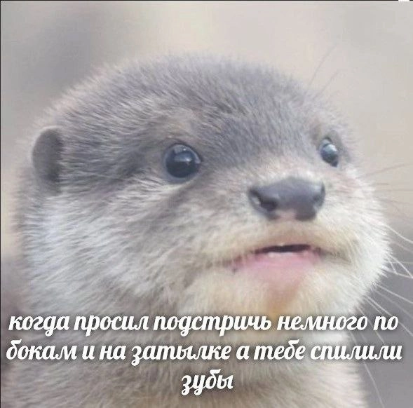  | Сетка — новая социальная сеть от hh.ru