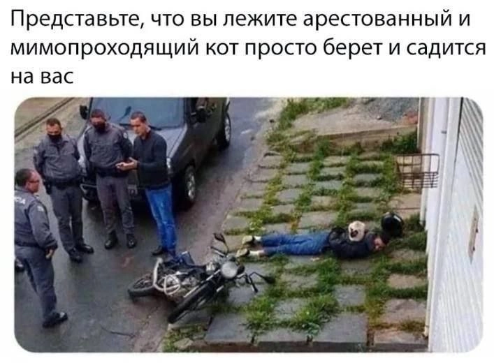  | Сетка — новая социальная сеть от hh.ru